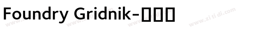 Foundry Gridnik字体转换